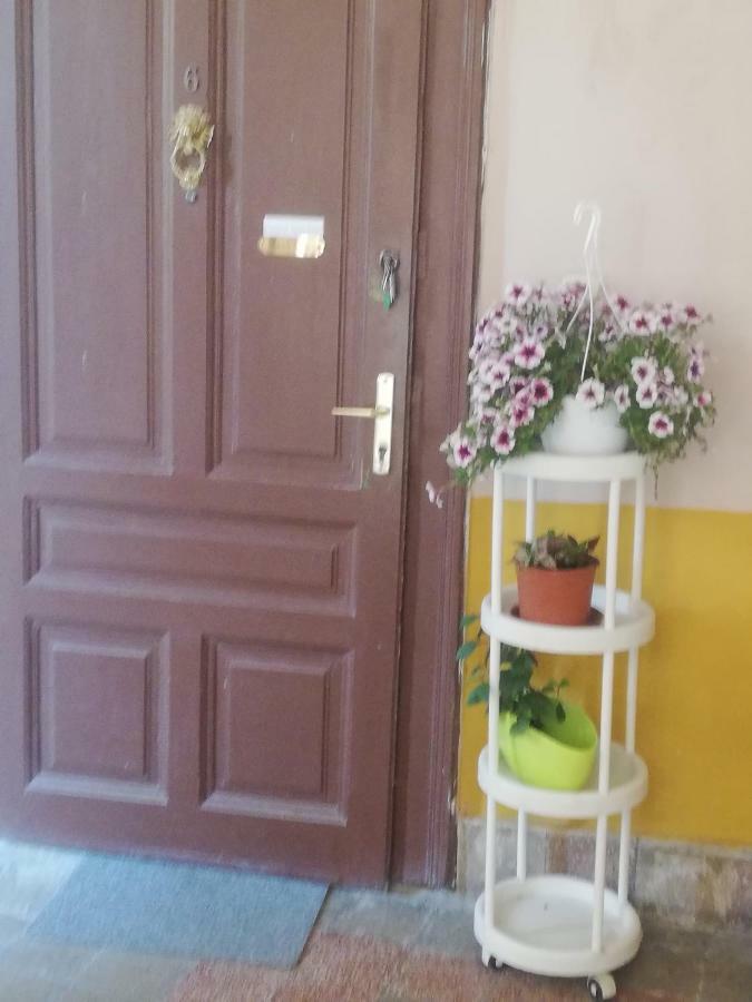סגד Galeria Apartman מראה חיצוני תמונה